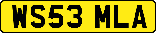 WS53MLA