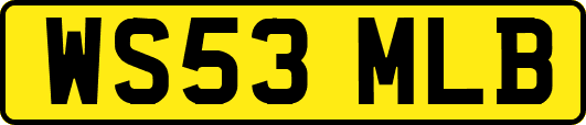 WS53MLB