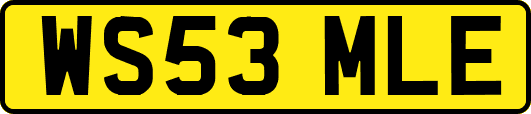 WS53MLE