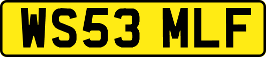 WS53MLF
