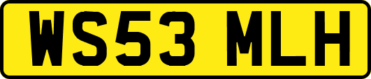 WS53MLH