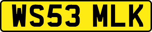 WS53MLK