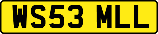 WS53MLL