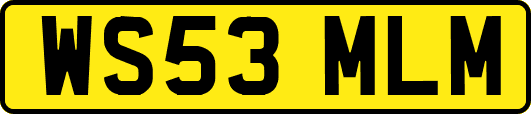 WS53MLM
