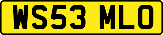 WS53MLO