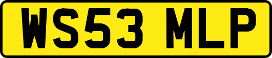 WS53MLP
