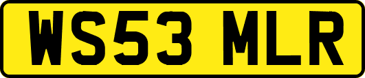 WS53MLR