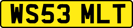 WS53MLT