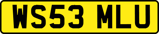 WS53MLU