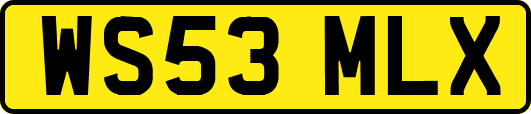 WS53MLX