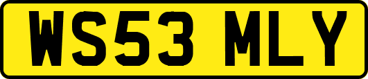 WS53MLY