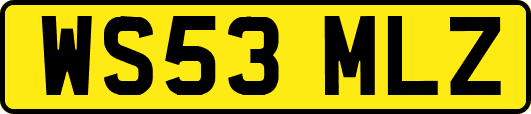WS53MLZ