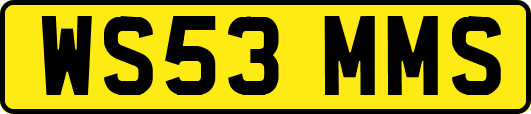 WS53MMS