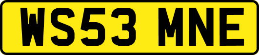WS53MNE