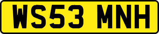 WS53MNH