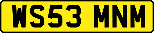 WS53MNM