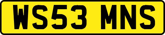 WS53MNS
