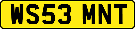WS53MNT