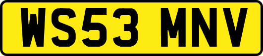 WS53MNV