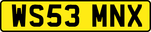 WS53MNX