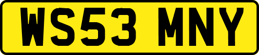 WS53MNY