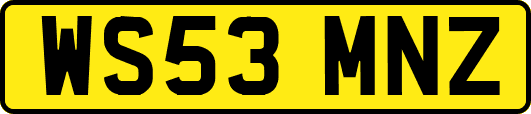 WS53MNZ