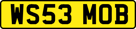 WS53MOB