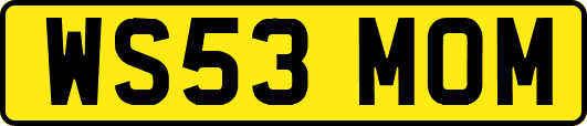 WS53MOM