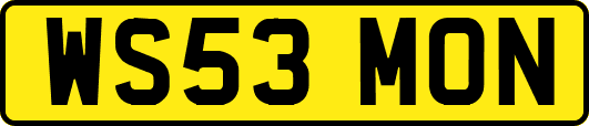WS53MON