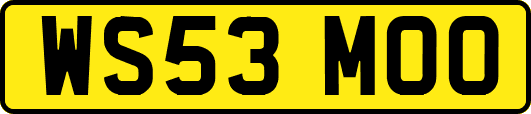 WS53MOO