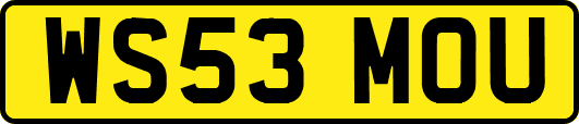 WS53MOU