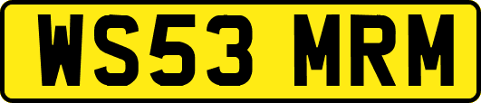 WS53MRM