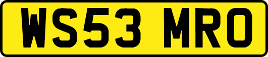 WS53MRO