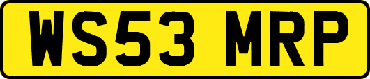WS53MRP