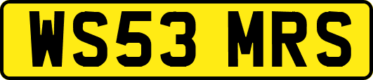 WS53MRS