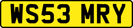 WS53MRY