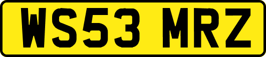 WS53MRZ