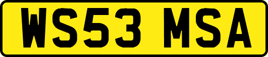 WS53MSA