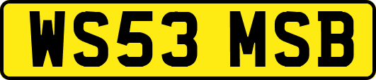 WS53MSB