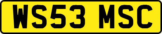 WS53MSC