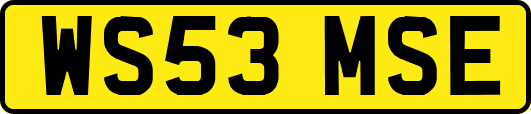 WS53MSE