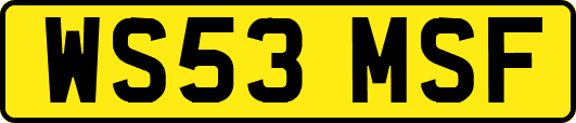 WS53MSF