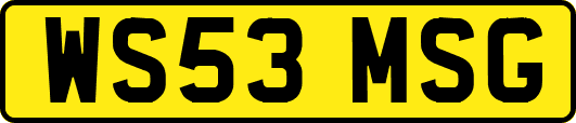 WS53MSG