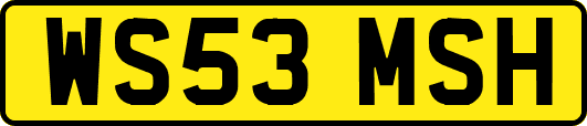WS53MSH
