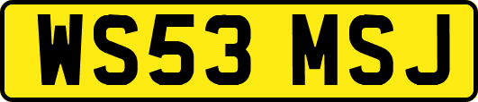 WS53MSJ