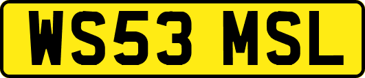 WS53MSL