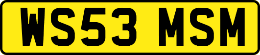 WS53MSM