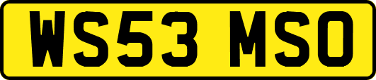 WS53MSO