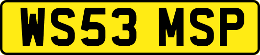 WS53MSP
