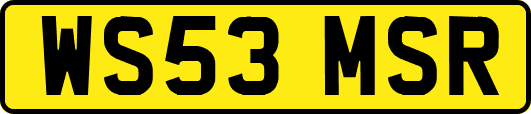 WS53MSR